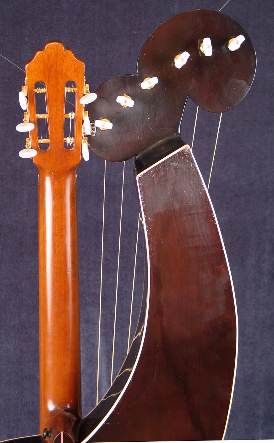 Lark in the Morning Used Harp Guitar at Harp Guitar Music