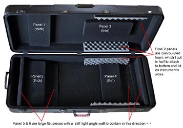 gator1.jpg (110573 bytes)
