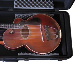 gator5.jpg (87925 bytes)